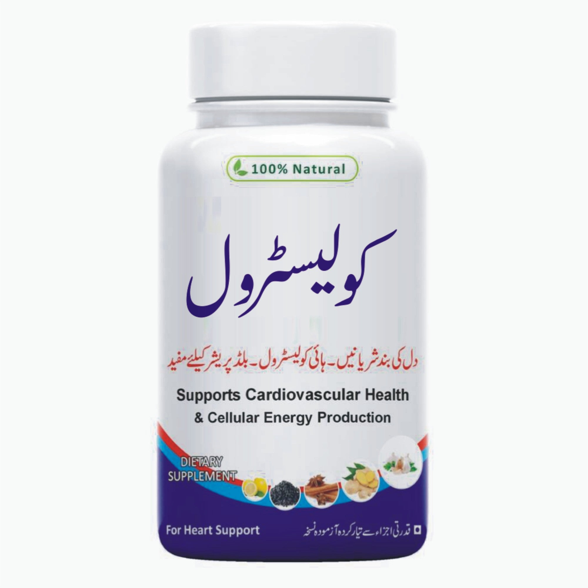 Cholesterol Course